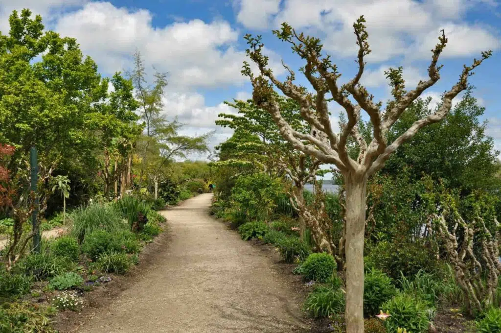 Promenade Fleurie, Lac Aureilhan, Les Landes