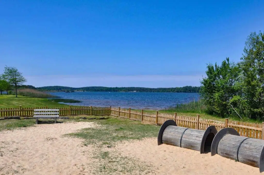 Lac Aureilhan, les landes