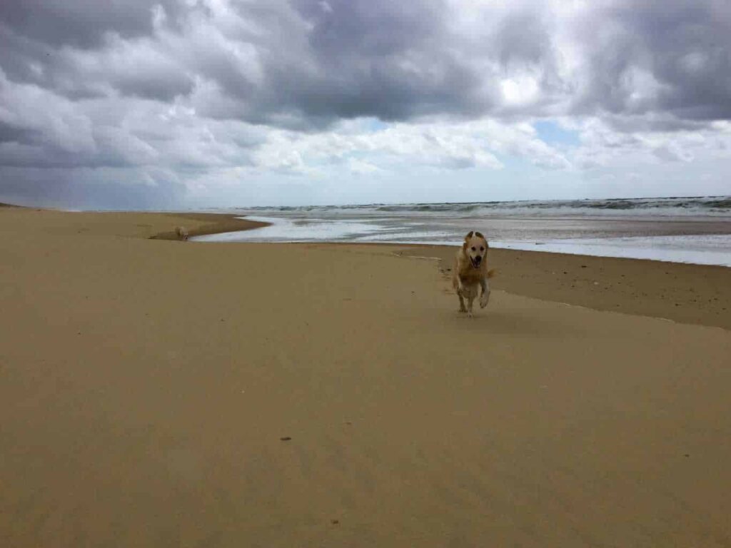 l’Especier plage, landes beaches