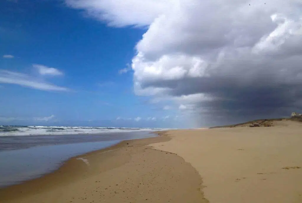 Plage de l’Especier, landes beaches