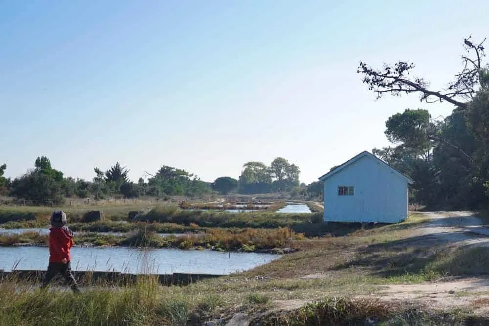 Oyster beds at Fort Royer, Oleron Island, France