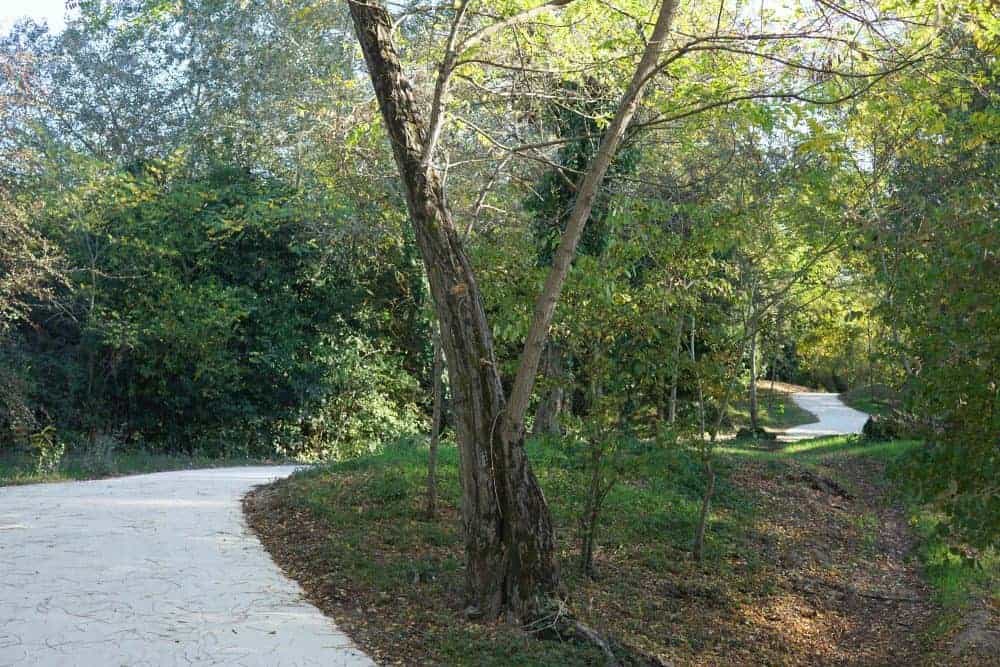 Saumonards forest cycling trails, ile d'Oleron, France