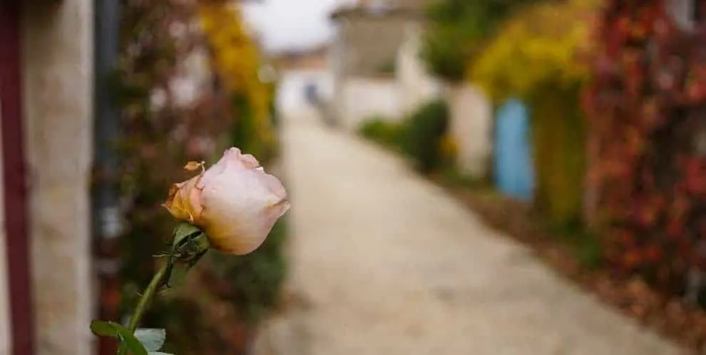 Les Plus Beaux Villages de France, Talmont-sur-Gironde