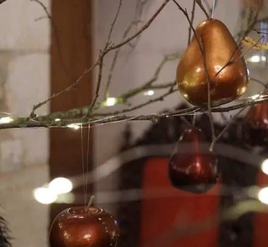 Inside the Chateau de Crazannes at Christmas