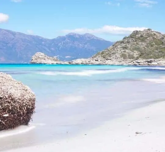 Guide to visiting Saleccia Beach and Loto Beach in Corsica, France