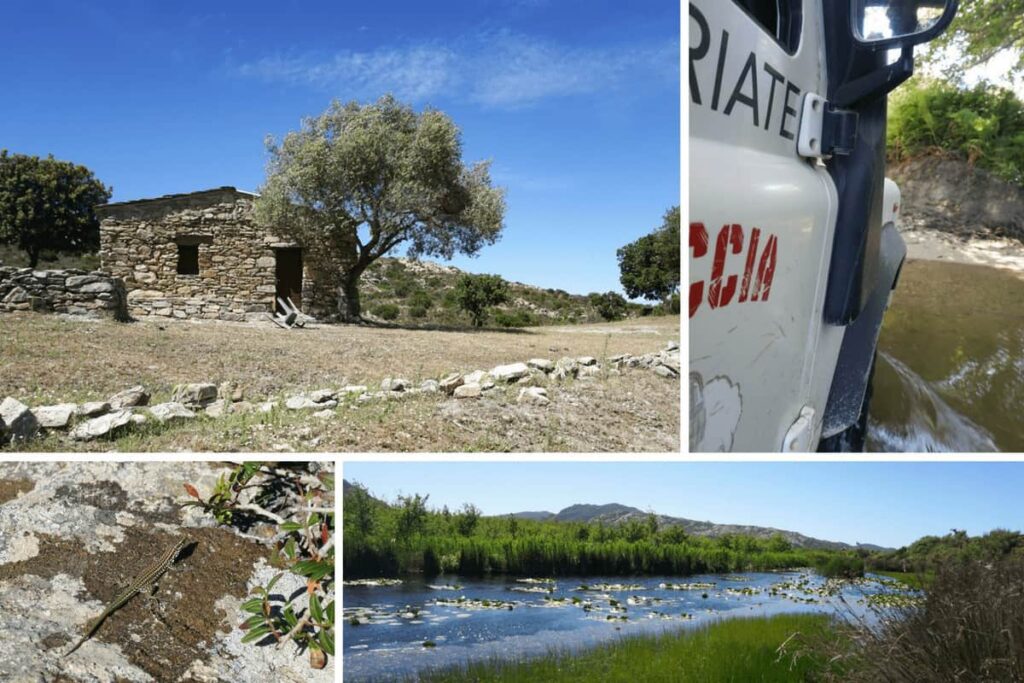 Off roading in Corsica. Driving through the Desert des Agriates in Corsica