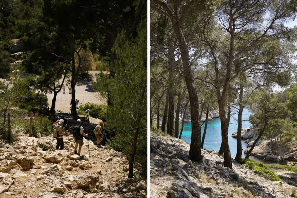 Calanque de Port Pin near Cassis, in Provence, France