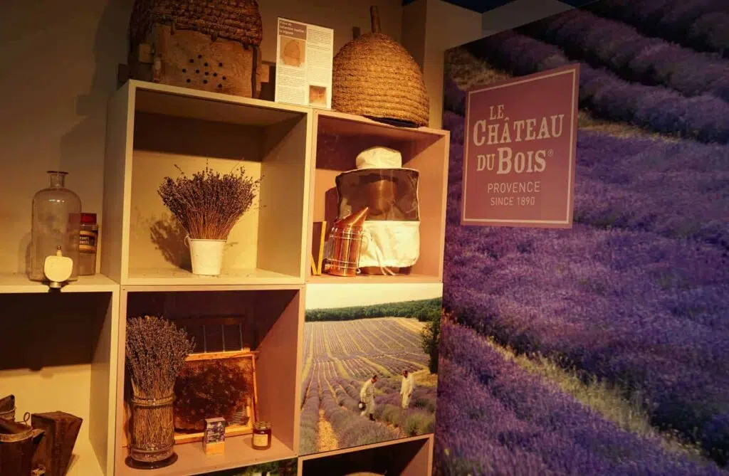 Things to do in Provence. The lavender museum in Provence.