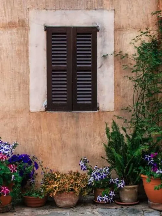 Where to find the winter sun in Europe.