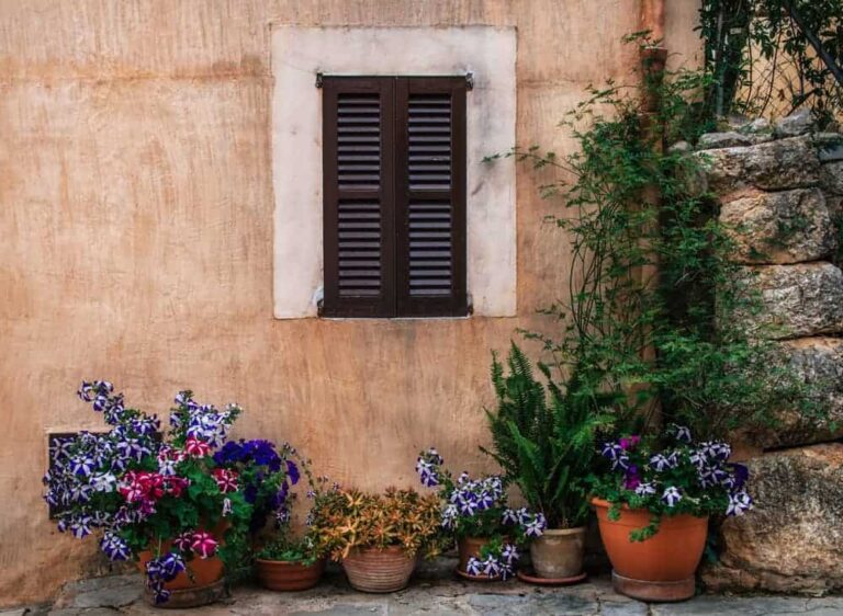 Where to find the winter sun in Europe.