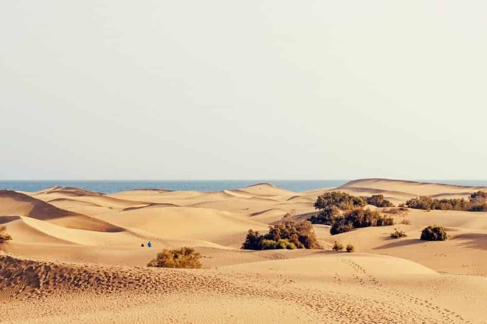 Reasons to visit Gran Canaria in winter. Dunes at Maspalomas, Gran Canaria.