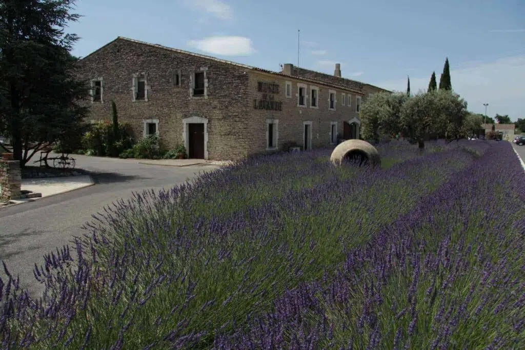 Musee de la Lavande. Lavender Museum in Provence, France