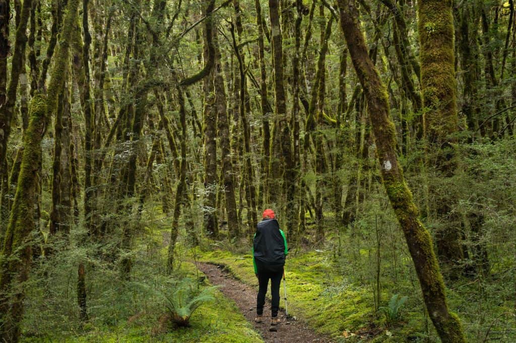 Kepler Track - One of New Zealand's Great Walks. 