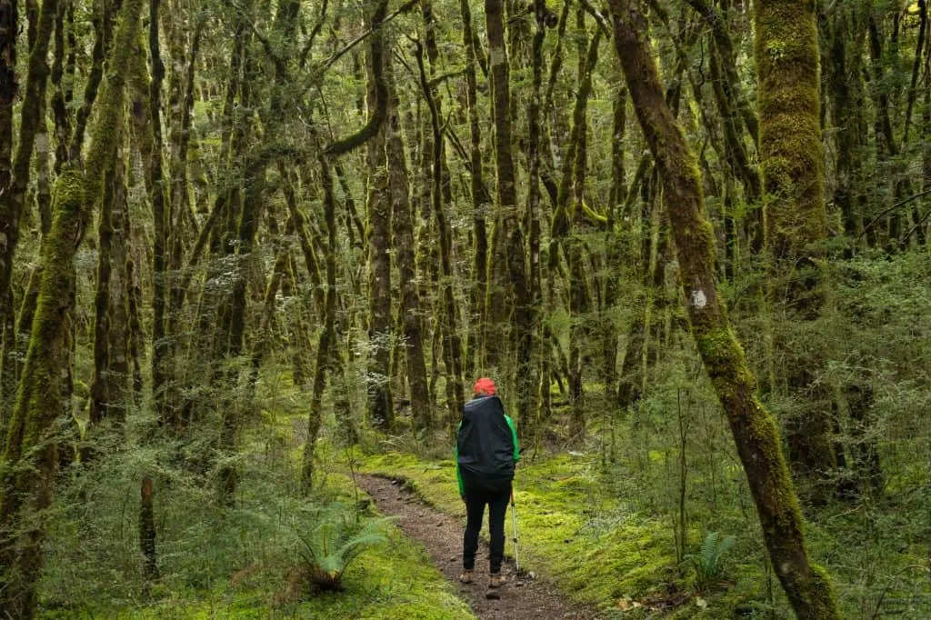 Kepler Track - One of New Zealand's Great Walks. 