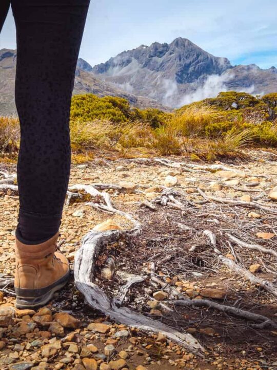 Great Walks NZ. Nine of the best multi-day hikes in New Zealand. New Zealand's Great Walks.
