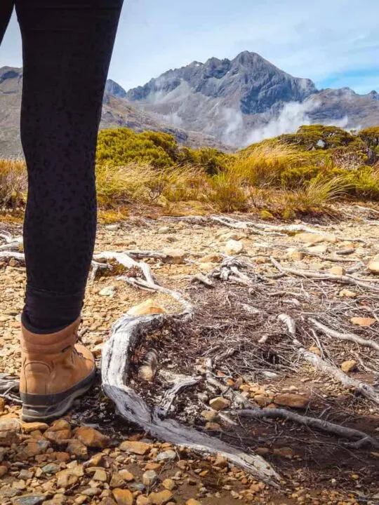 Great Walks NZ. Nine of the best multi-day hikes in New Zealand. New Zealand's Great Walks.