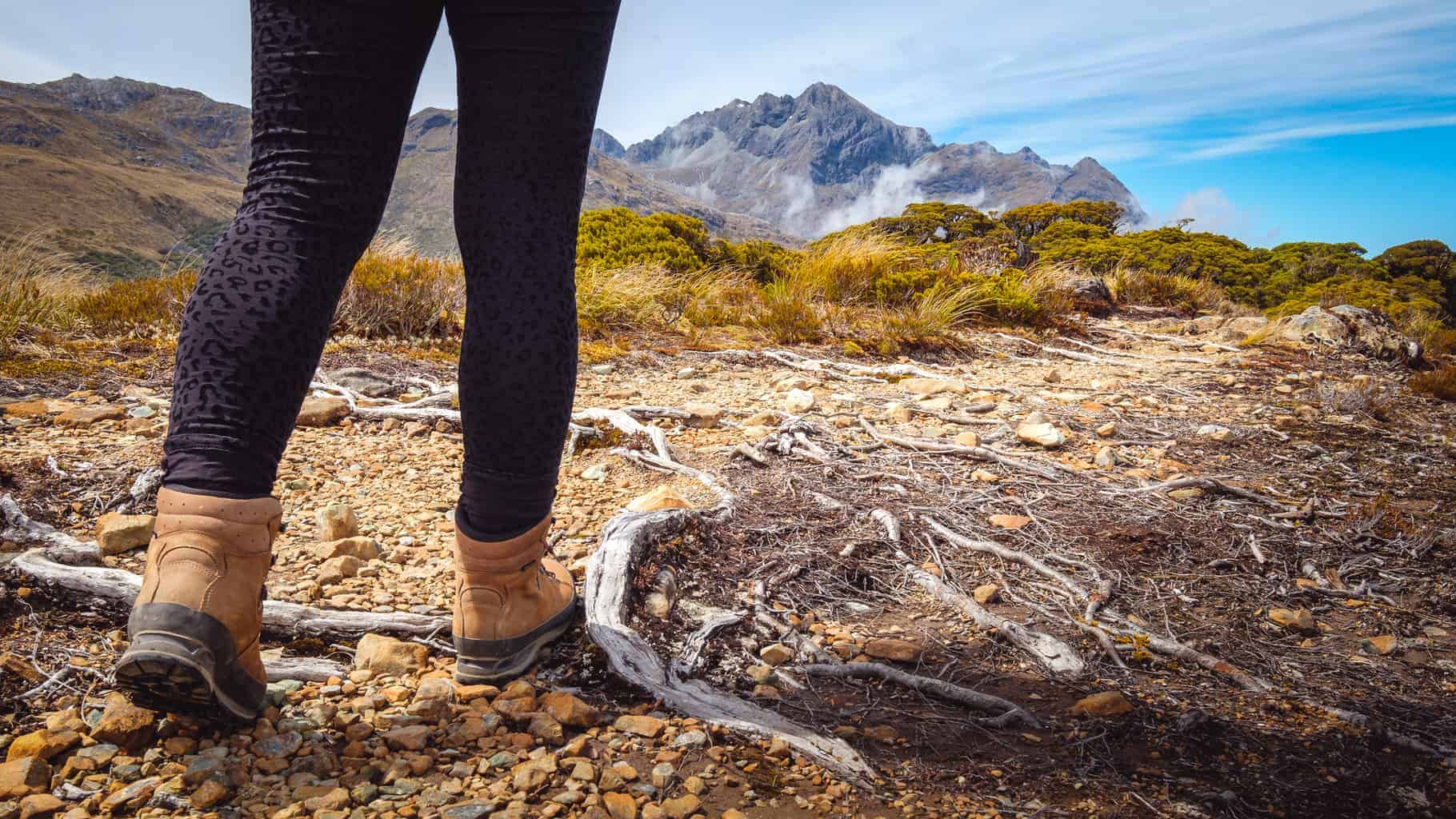 Great Walks NZ. Nine of the best multi-day hikes in New Zealand. New Zealand's Great Walks.