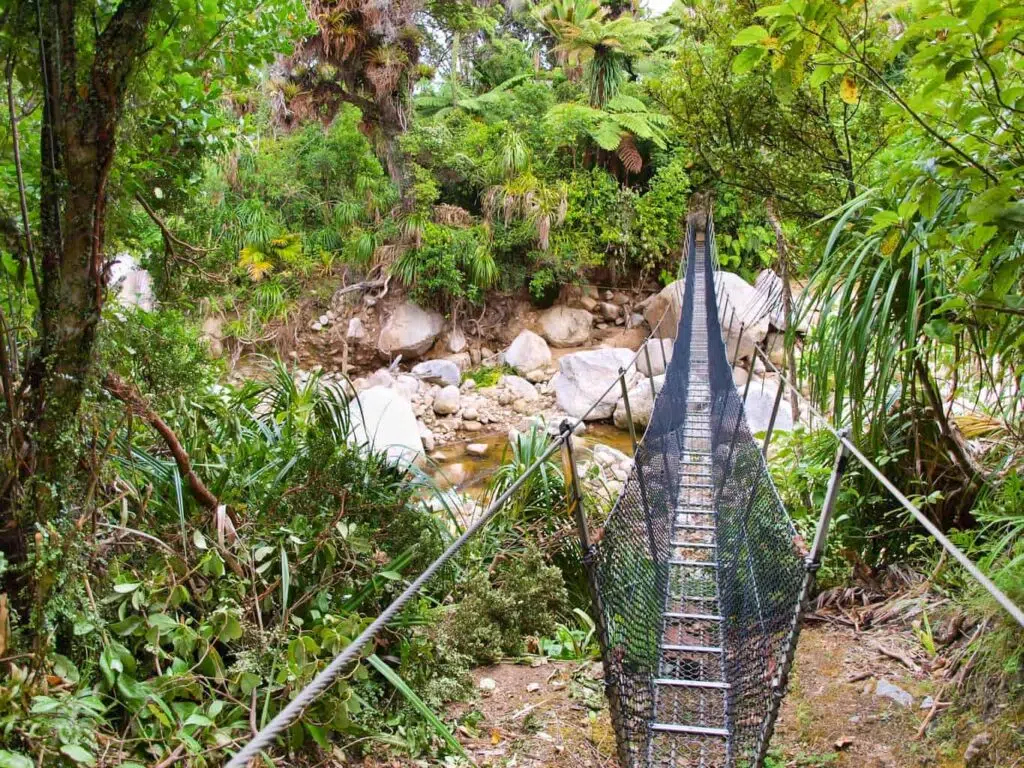 Swingbridge on the Heaphy Track. The Heaphy Track is one of New Zealand's Great Walks.