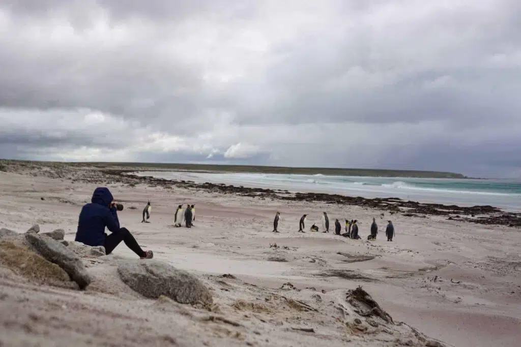 Visiting the Falkland Islands. Le Long Weekend - 2017 in Review