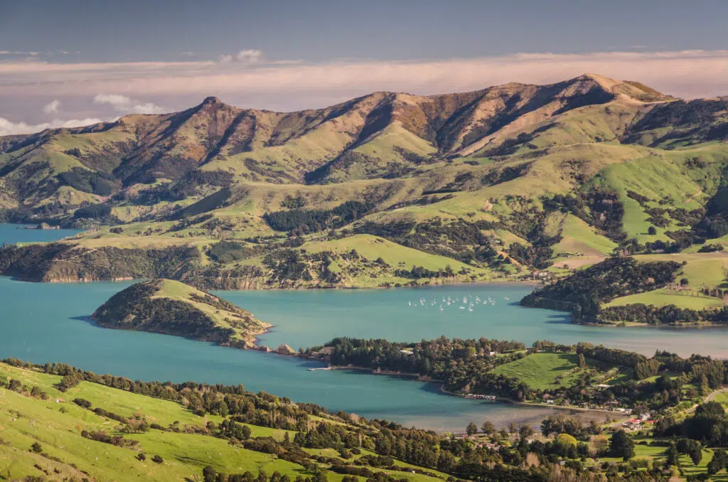 Quail Island near Christchurch, New Zealand