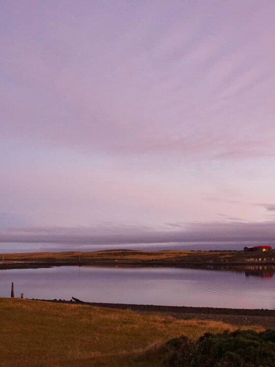 Top reasons the Falkland Islands should be on your travel bucket list
