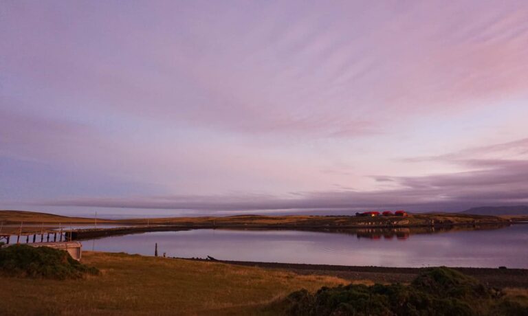 Top reasons the Falkland Islands should be on your travel bucket list