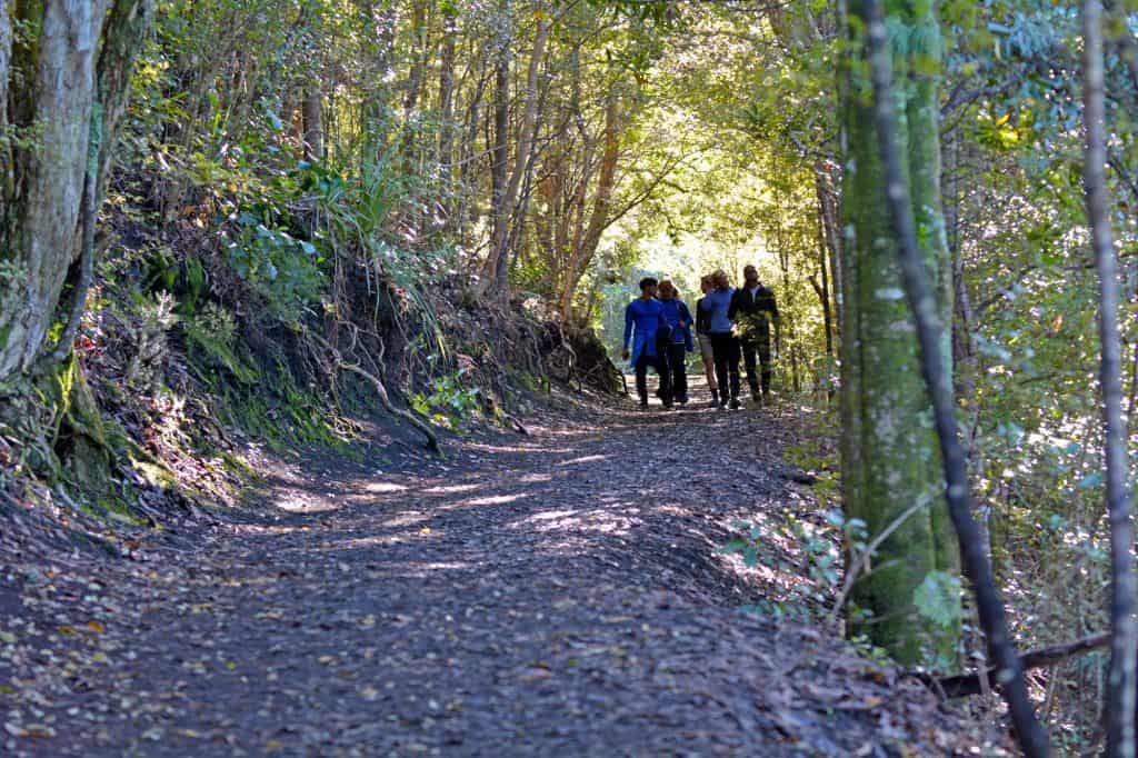 Hiking Rangitoto Island in New Zealand North Island.