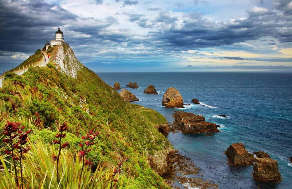 Nugget Point Lighthouse, New Zealand