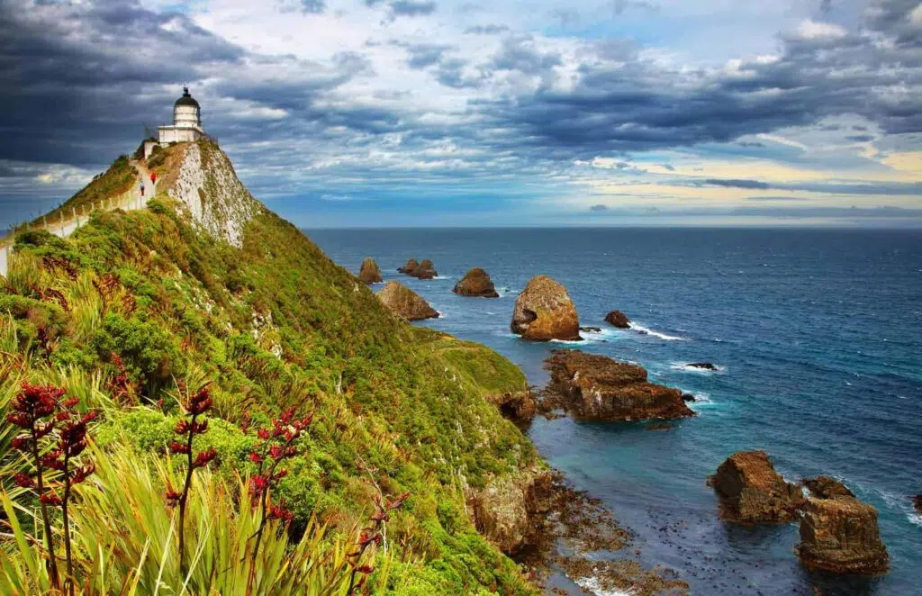 Nugget Point Lighthouse, New Zealand