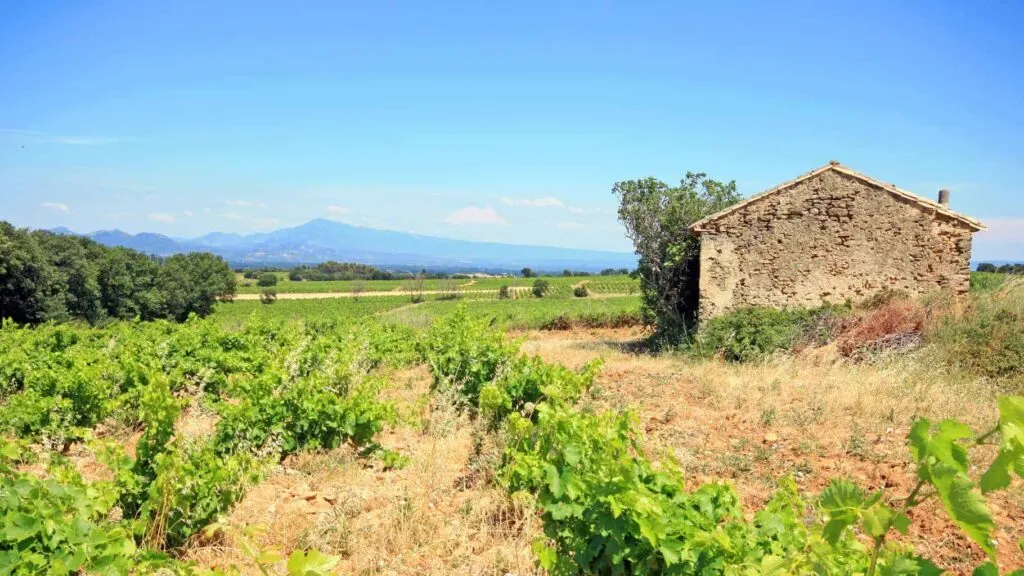 Châteauneuf du Pape is a great day trip from Avignon, France