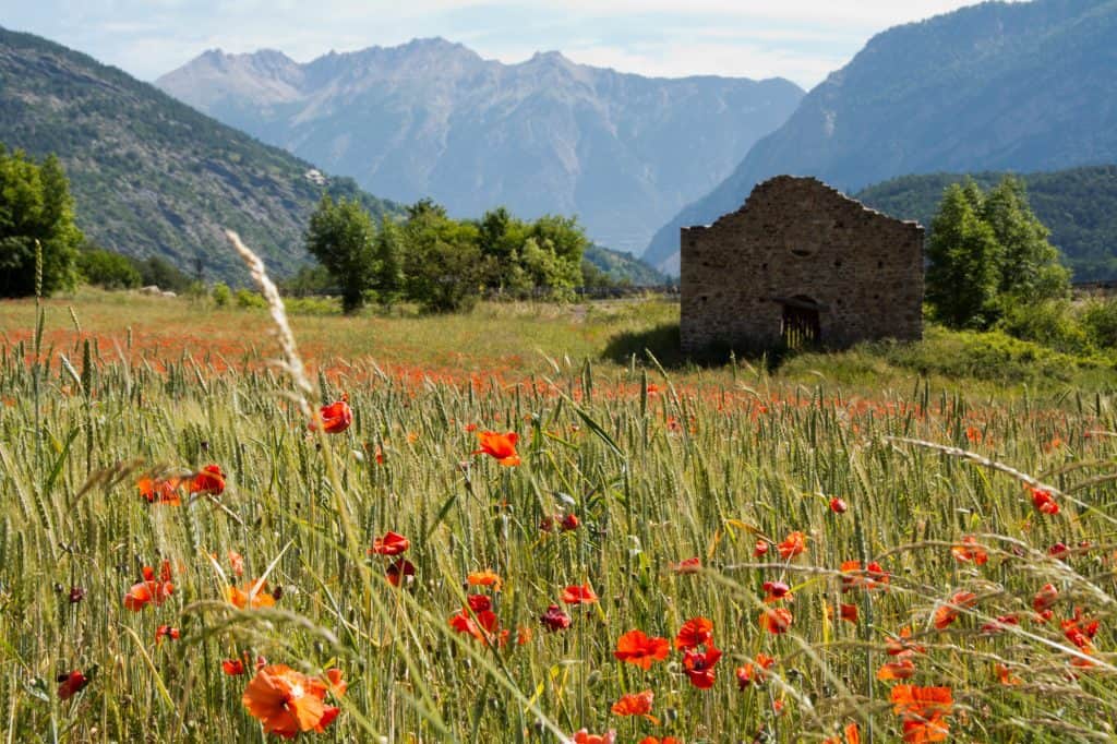 Visiting Provence, France in the Spring.