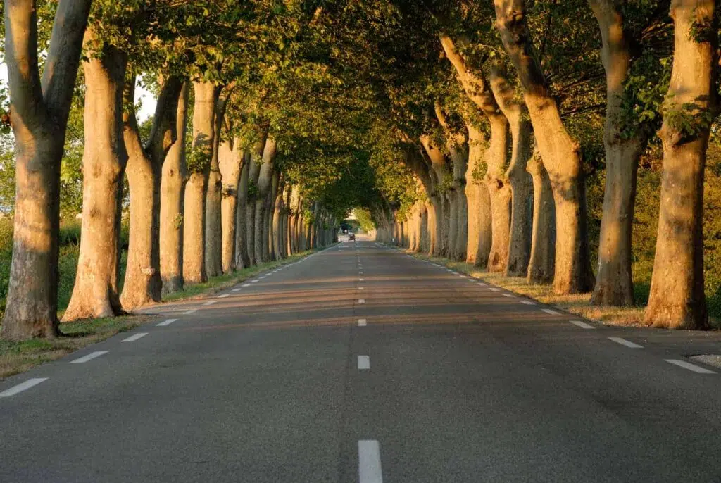 Driving in Provence, France