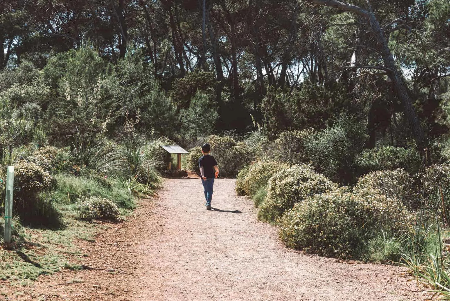 Kid friendly walks in Mallorca, Spain