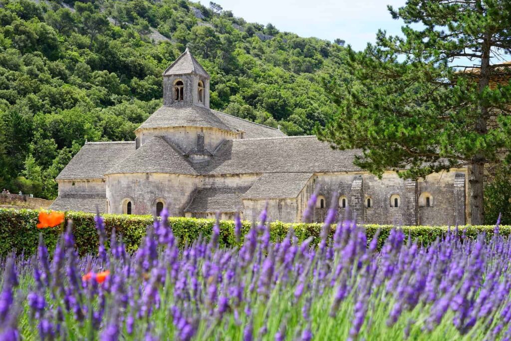 Luberon Lavender Fields.