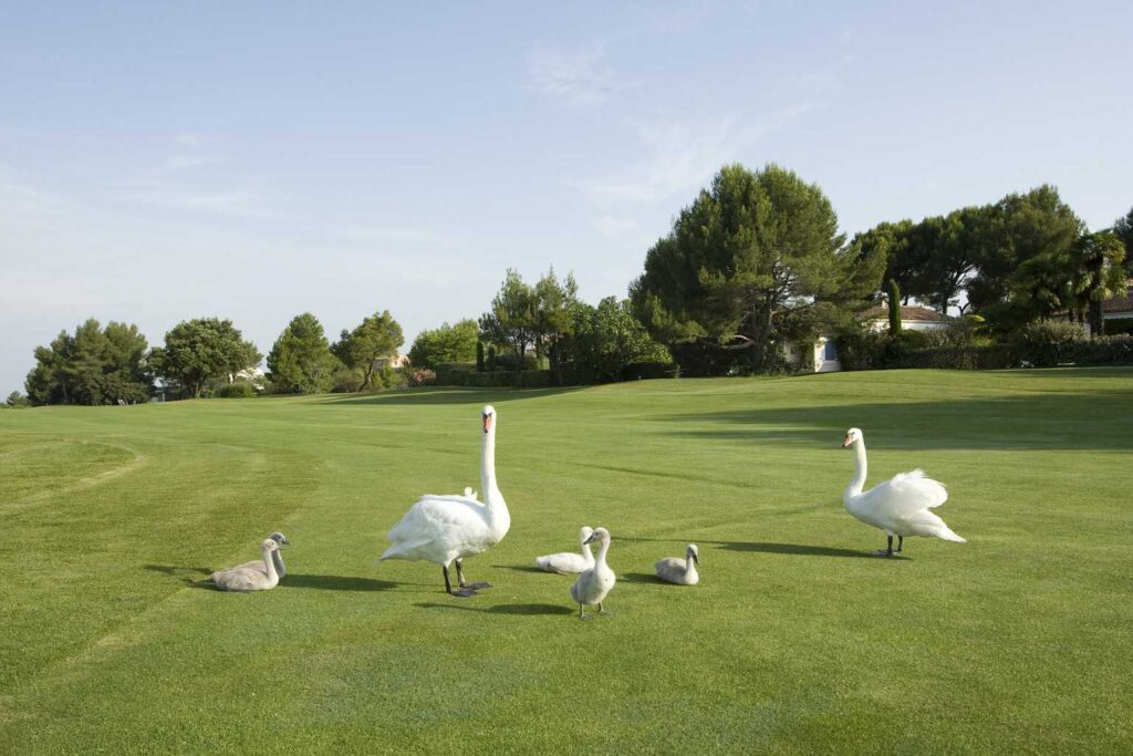 Easter in France - Pont Royal - LLW