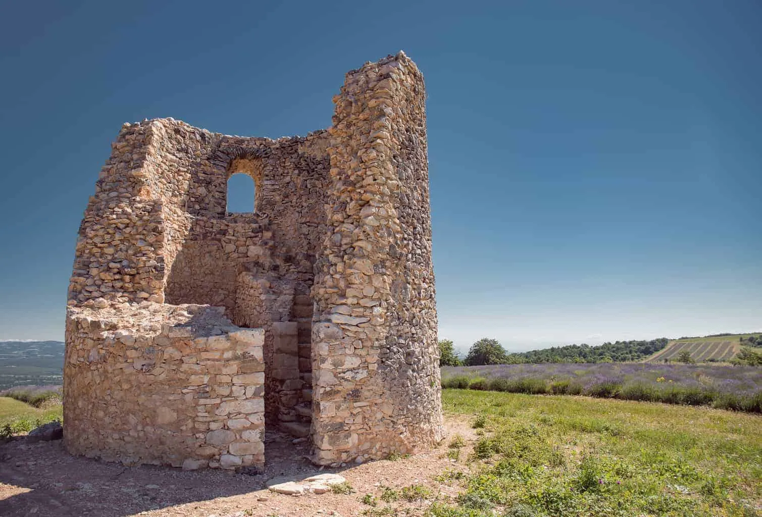 Fine lavender tour in Provence, France