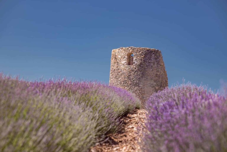 Luxury and Lavender: An Exclusive Tour to Le Château du Bois in Provence, France