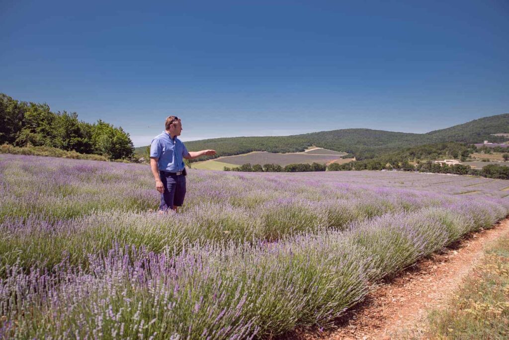 Jack Lincele of Chateau du Bois explains the intricacies of fine Provencal Lavender.