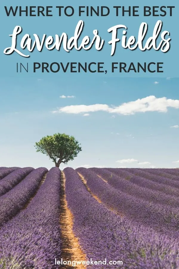 Looking for the best lavender fields in Provence, France? This comprehensive guide to the Provence lavender fields details where to find the best lavender fields, where to stay, and the best lavender routes in Provence!