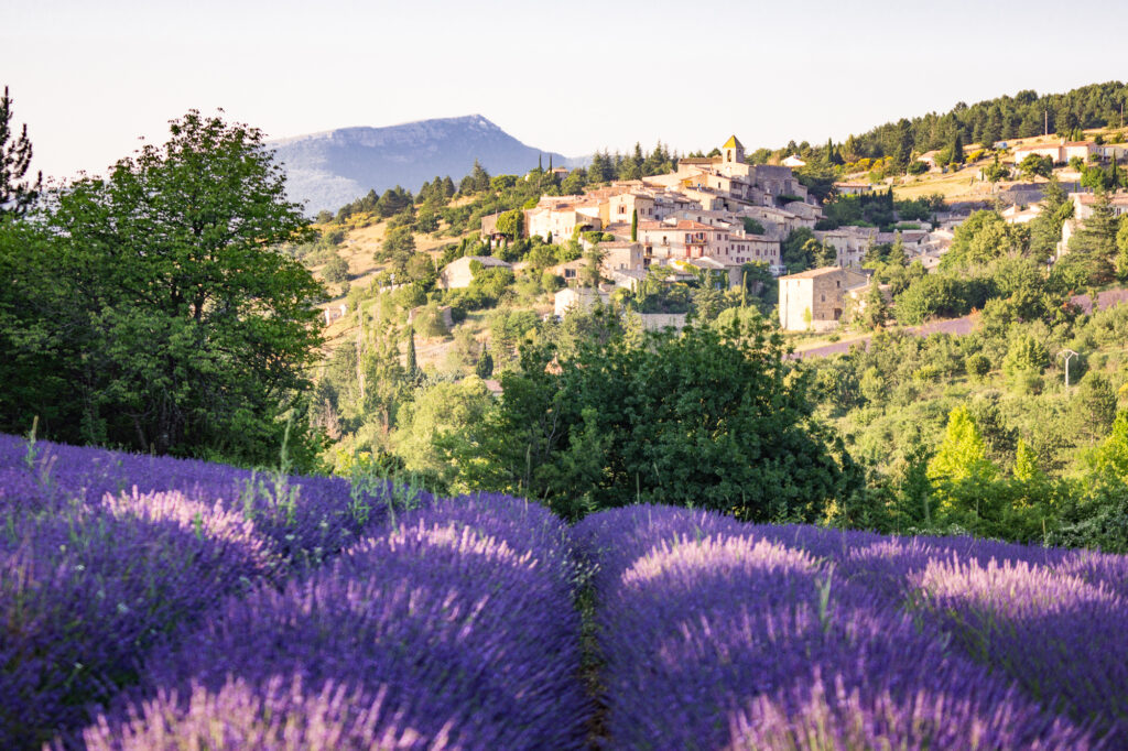 Best Lavender Fields of Provence, France 2020 Guide!