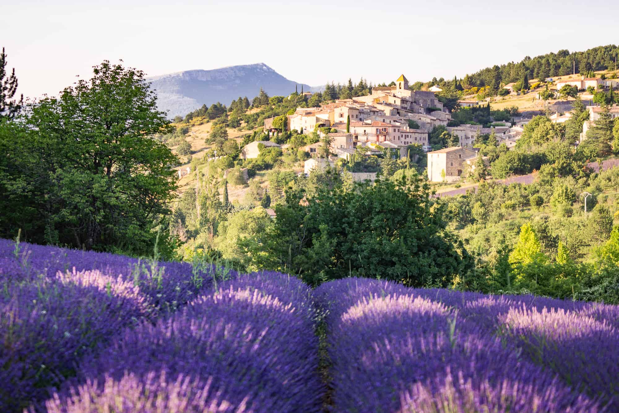 best time to visit provence france for lavender