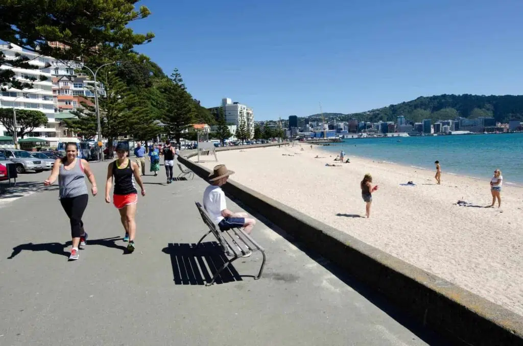 Oriental Bay in Wellington can't be bet on a good day.