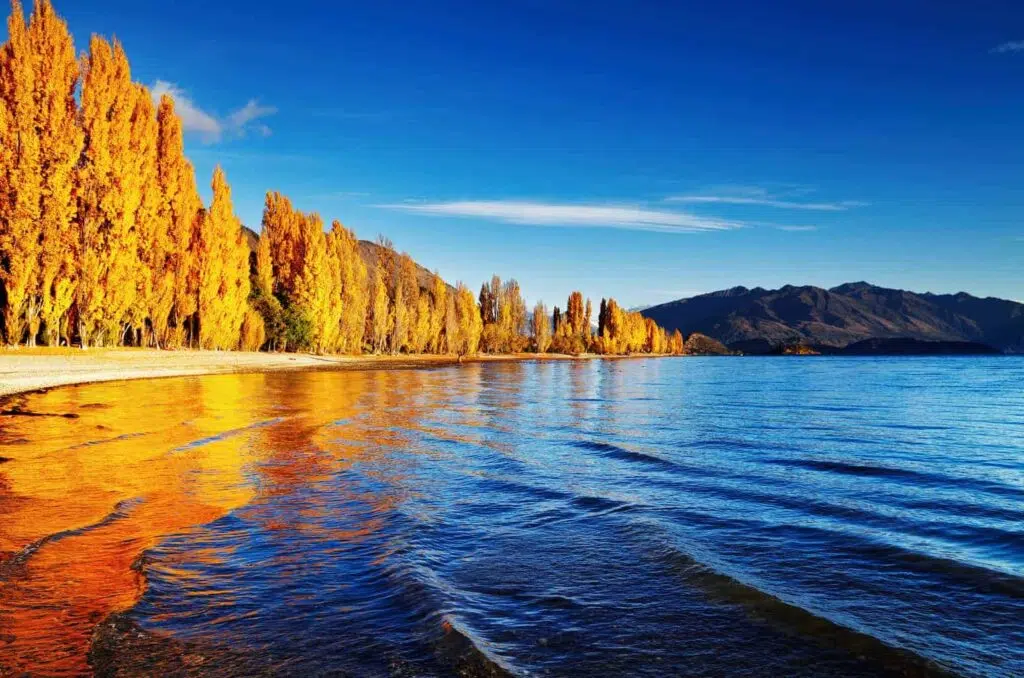 Lake Wanaka is home to some of New Zealand's best lake beaches
