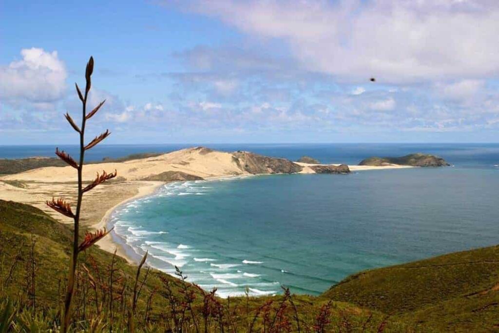 Plaja Te Werahi este una dintre cele mai bune plaje din Noua Zeelandă