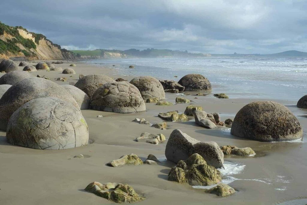 Plaja Moeraki, Noua Zeelandă