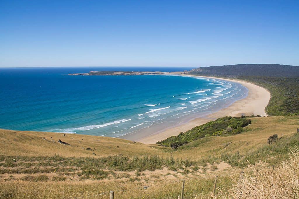 Tautuku Bay is one of the best beaches in New Zealand