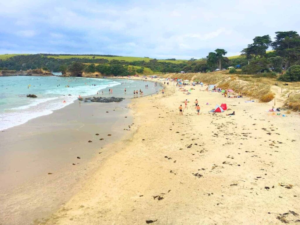 tawharanui beach är en av Nya Zeelands bästa stränder.