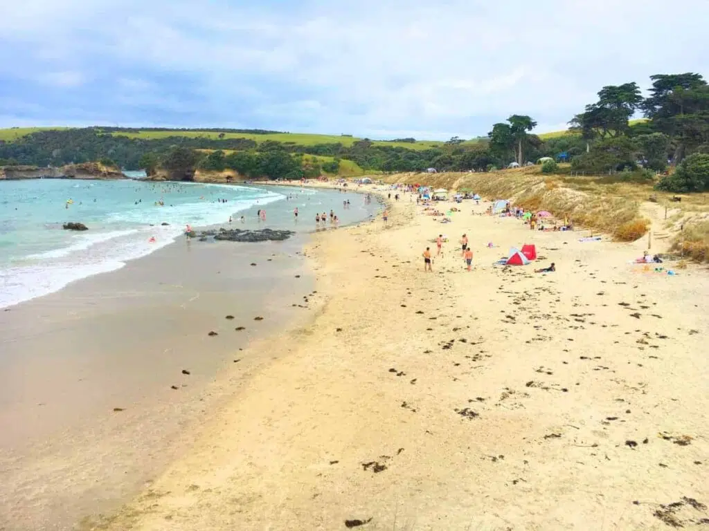 Tawharanui beach is one of New Zealand's best beaches.