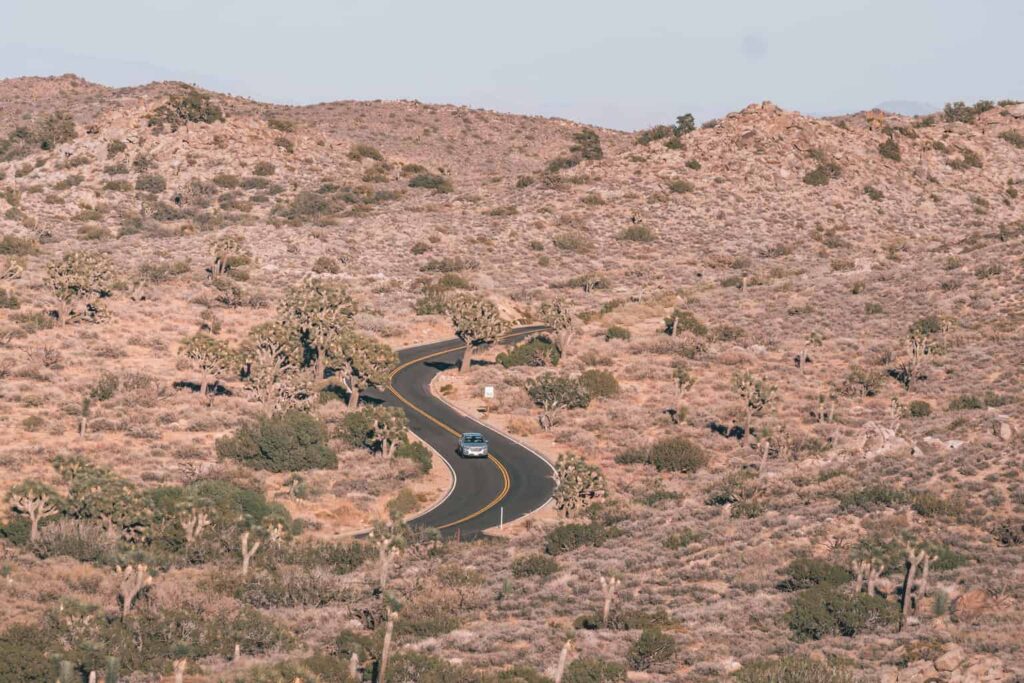 Getting to Joshua Tree National Park by Car