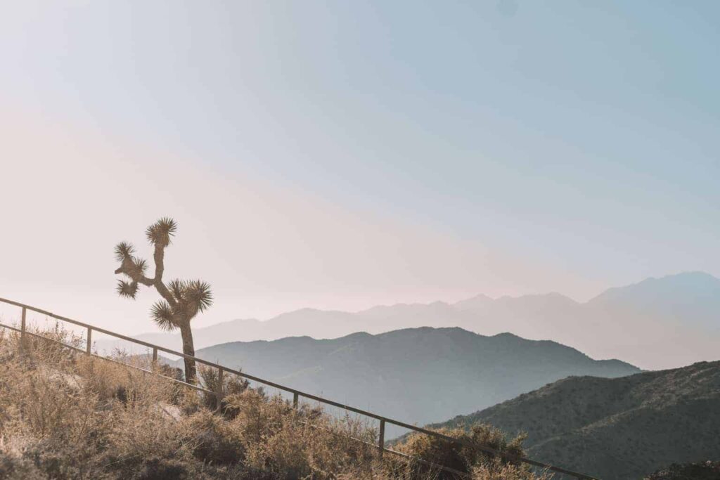 Keys View, Joshua Tree National Park